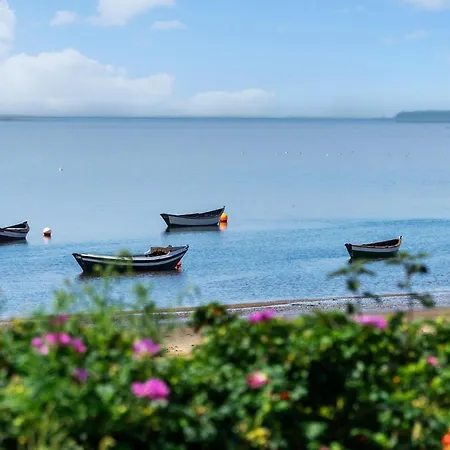 Stunning In V With Wifi